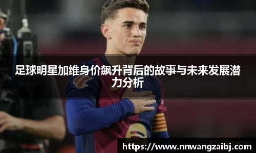 BB贝博官网
