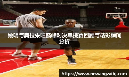BB贝博官网