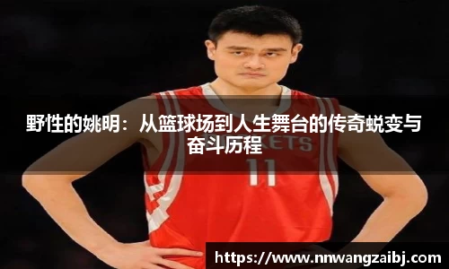贝博官方网站